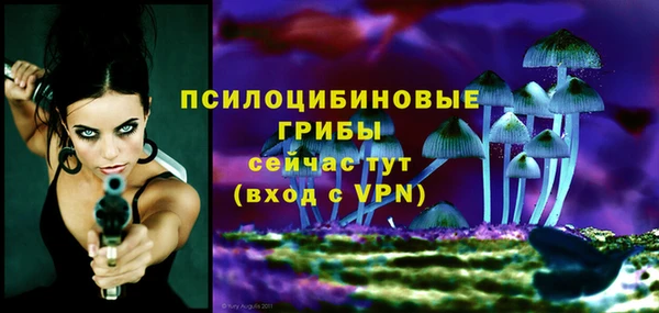 прущая мука Пролетарск