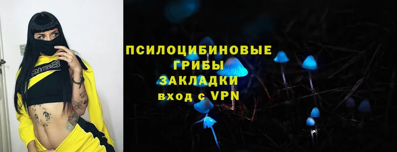 где можно купить наркотик  нарко площадка какой сайт  Галлюциногенные грибы Psilocybe  Скопин 