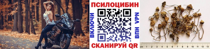 Галлюциногенные грибы мицелий  мега вход  Скопин 