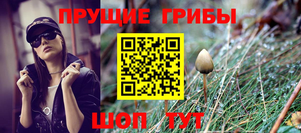 купить наркоту  Псилоцибиновые грибы прущие грибы  Галлюциногенные грибы прущие грибы  Вход с VPN  Скопин 