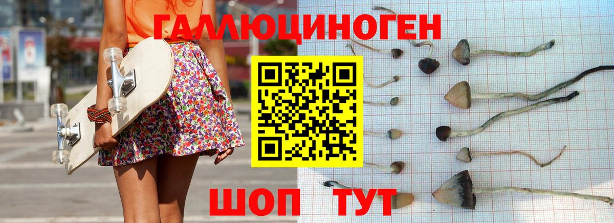Галлюциногенные грибы мицелий Скопин